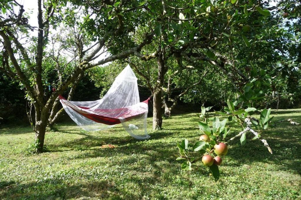 Saint TudyHorsna Parc Retreat住宿加早餐旅馆 外观 照片